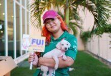 Prefeitura de Palmas Promove Adoção de Cães e Gatos Resgatados neste Sábado no Capim Dourado Shopping